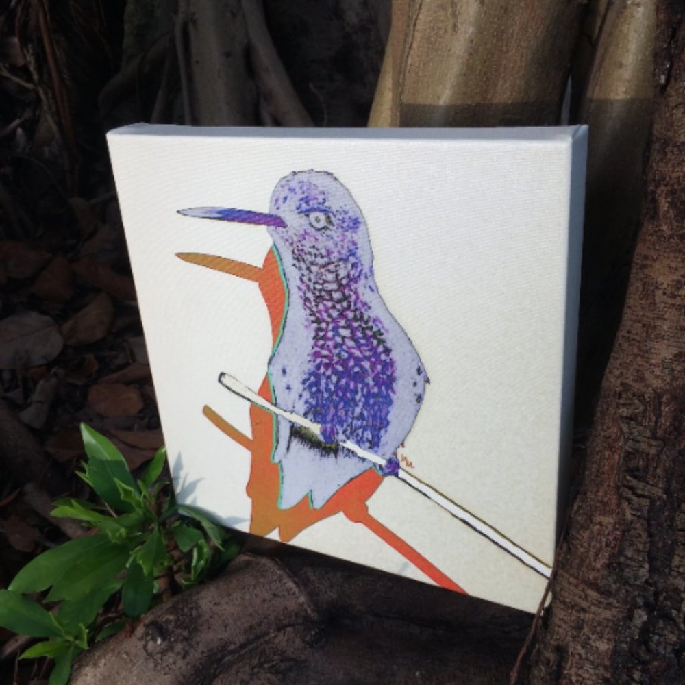 Hummingbird - Original Wall Art print on 12 x 12 canvas - Picture 6 of 6